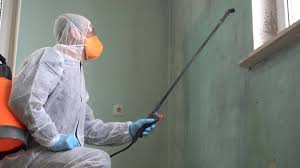 Best Residential Mold Inspection & Testing  in USA